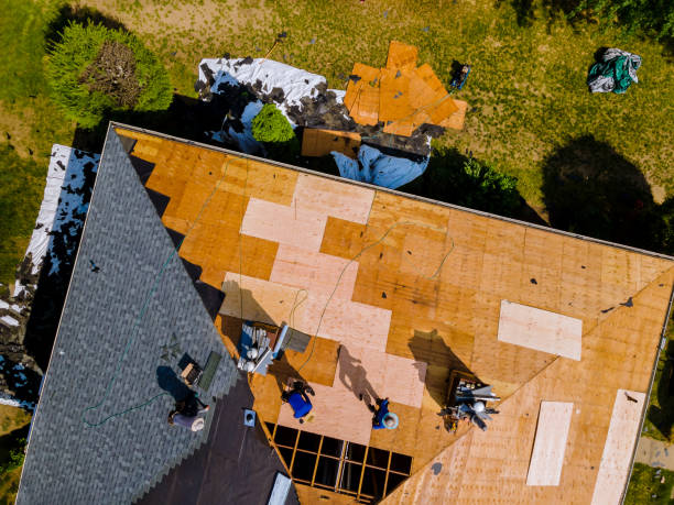 Best Roof Gutter Cleaning  in University Of Virginia, VA