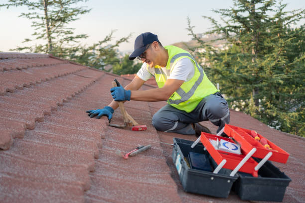 Best Heating Cable for Roof Installation  in University Of Virginia, VA